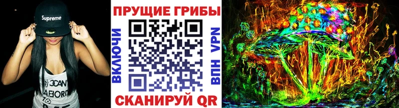 Псилоцибиновые грибы Psilocybine cubensis  KRAKEN ССЫЛКА  Старая Купавна 